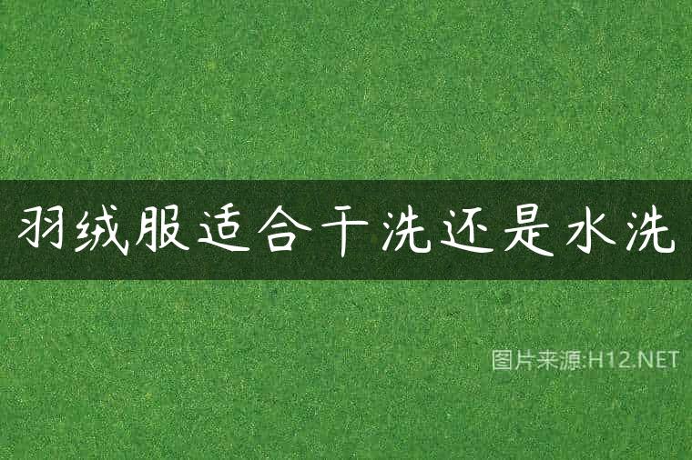 羽绒服适合干洗还是水洗