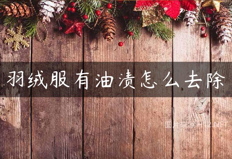 羽绒服有油渍怎么去除