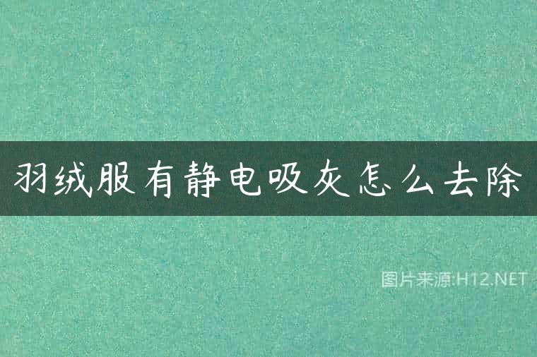 羽绒服有静电吸灰怎么去除