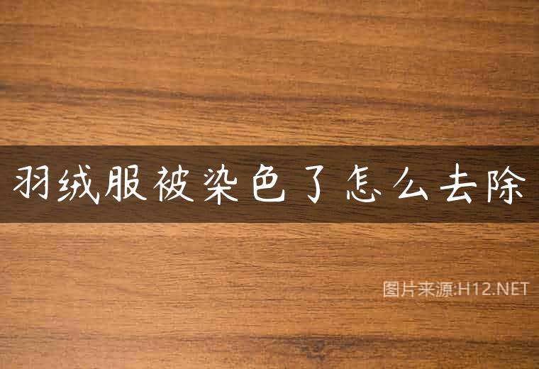 羽绒服被染色了怎么去除