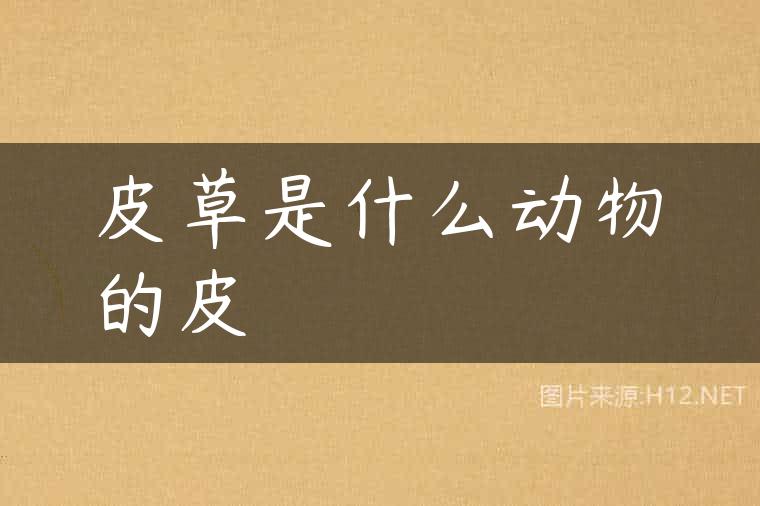 皮草是什么动物的皮