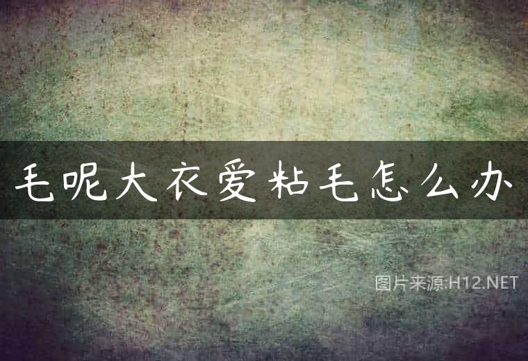 毛呢大衣爱粘毛怎么办