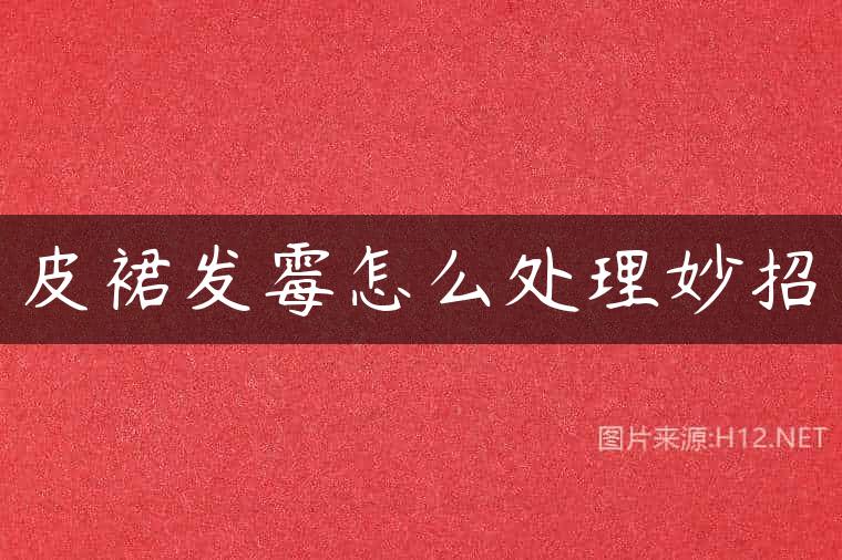 皮裙发霉怎么处理妙招