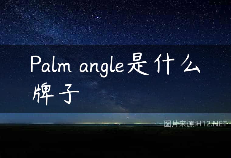 Palm angle是什么牌子
