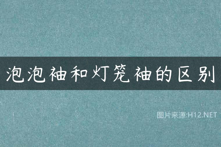 泡泡袖和灯笼袖的区别