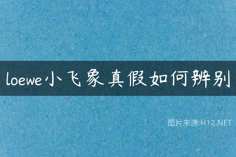 loewe小飞象真假如何辨别
