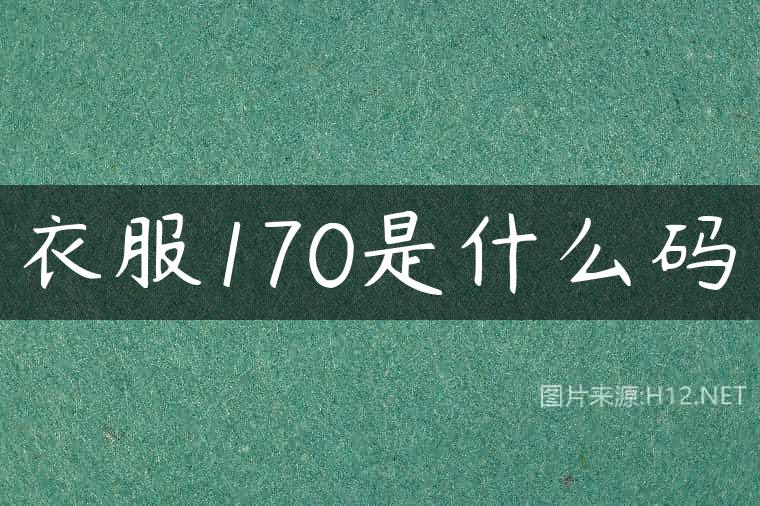 衣服170是什么码