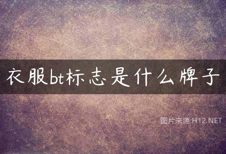 衣服bt标志是什么牌子
