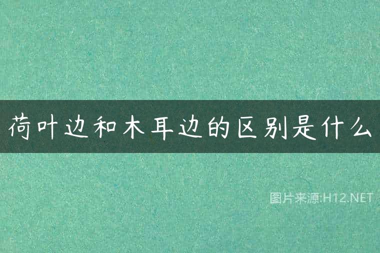 荷叶边和木耳边的区别是什么