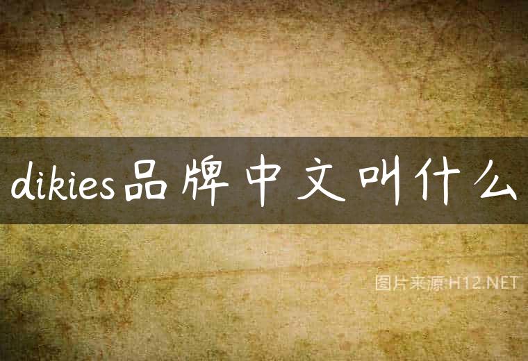 dikies品牌中文叫什么