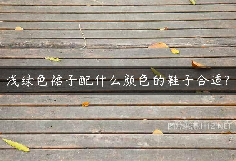 浅绿色裙子配什么颜色的鞋子合适?