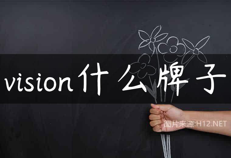 vision什么牌子