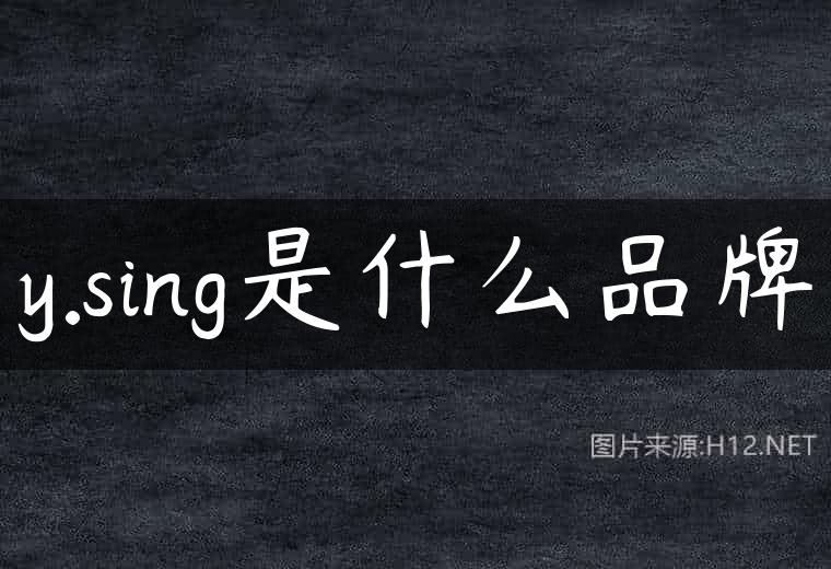 y.sing是什么品牌