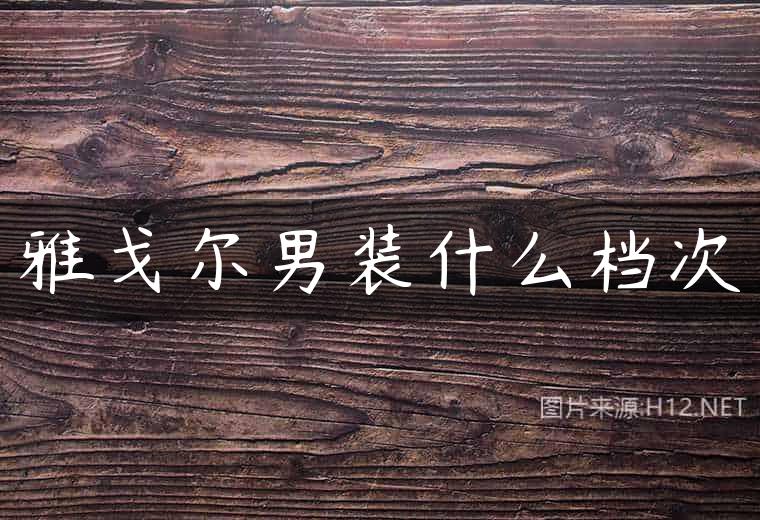 雅戈尔男装什么档次