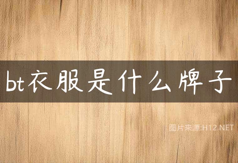 bt衣服是什么牌子
