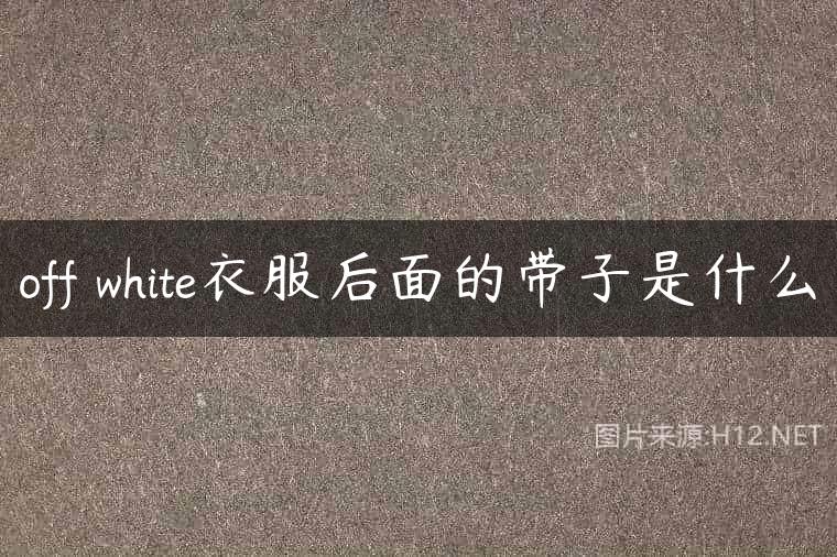off white衣服后面的带子是什么