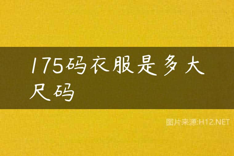 175码衣服是多大尺码