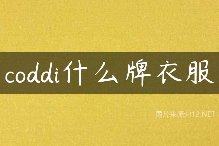 coddi什么牌衣服