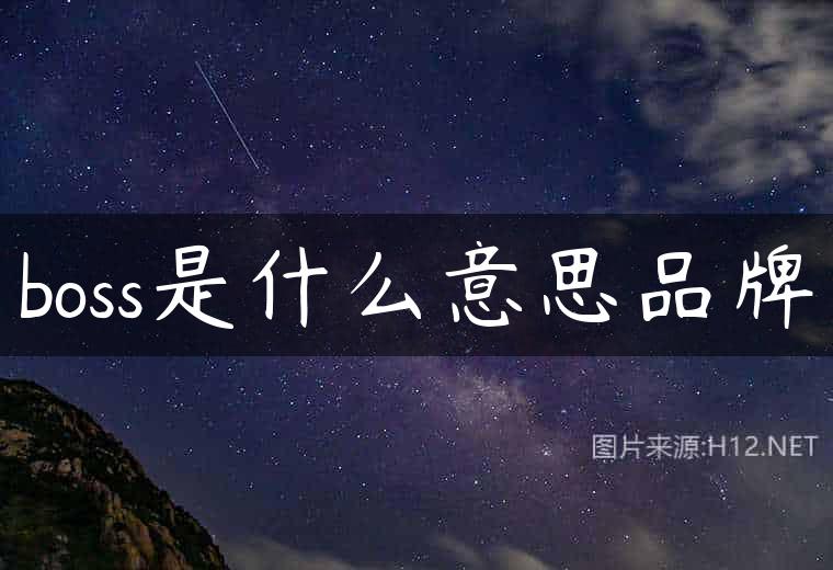 boss是什么意思品牌