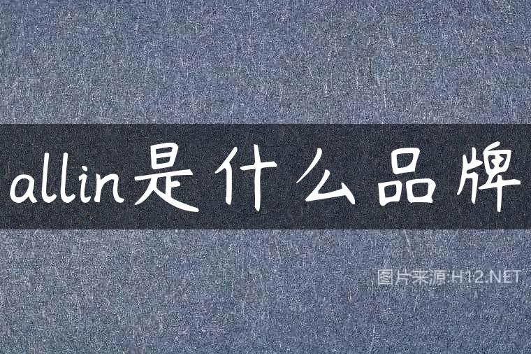 allin是什么品牌