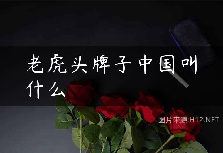 老虎头牌子中国叫什么