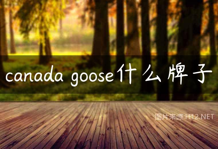 canada goose什么牌子
