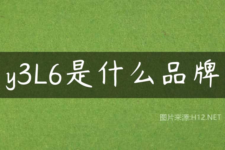 y3L6是什么品牌