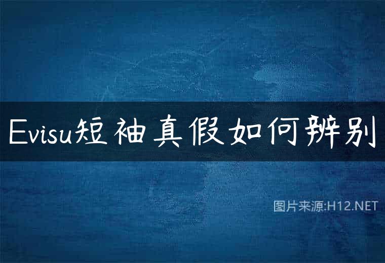 Evisu短袖真假如何辨别