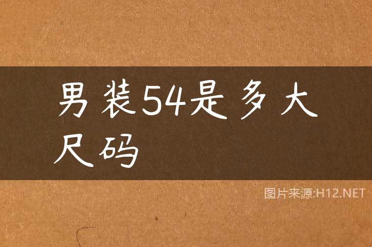 男装54是多大尺码