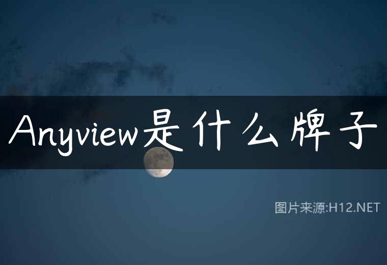 Anyview是什么牌子