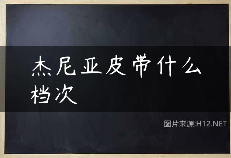 杰尼亚皮带什么档次