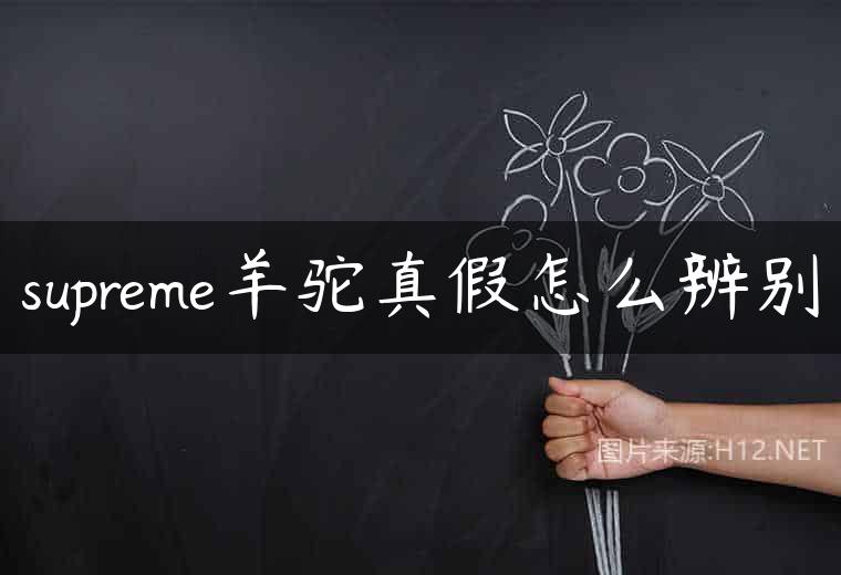 supreme羊驼真假怎么辨别