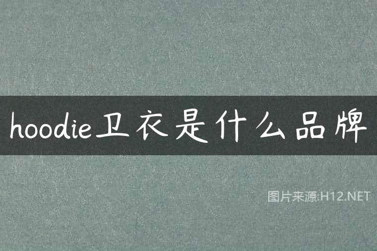 hoodie卫衣是什么品牌