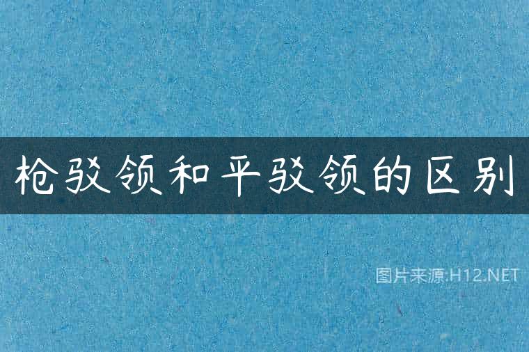 枪驳领和平驳领的区别