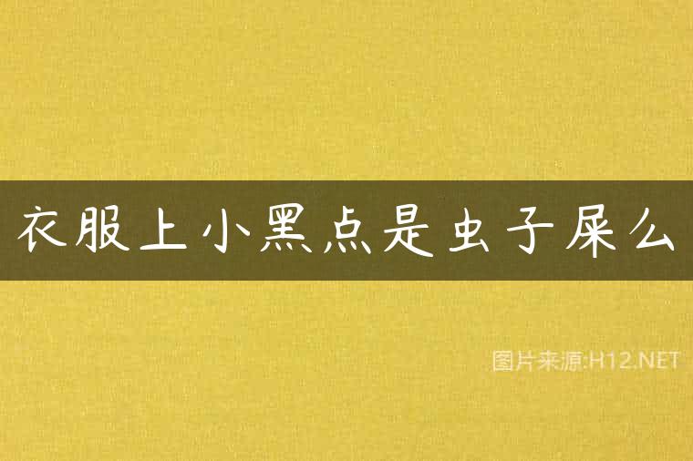 衣服上小黑点是虫子屎么