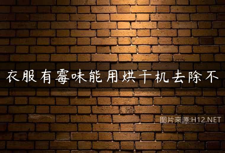 衣服有霉味能用烘干机去除不