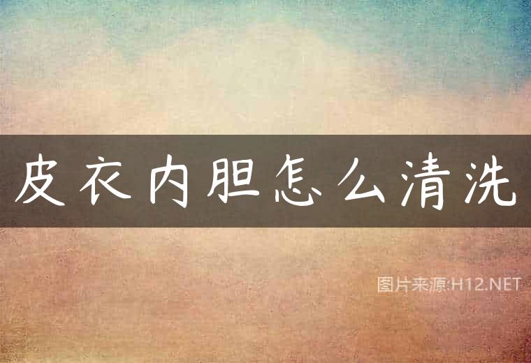 皮衣内胆怎么清洗