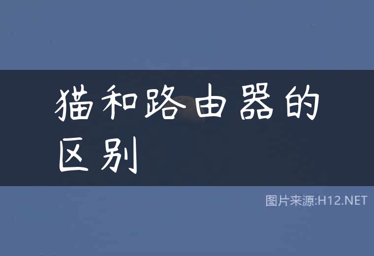 猫和路由器的区别