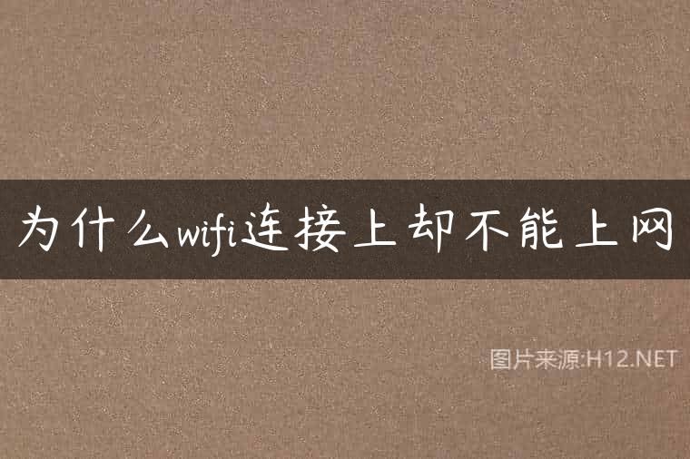 为什么wifi连接上却不能上网