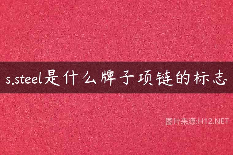 s.steel是什么牌子项链的标志