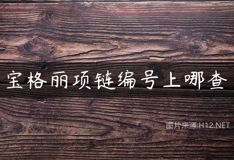 宝格丽项链编号上哪查