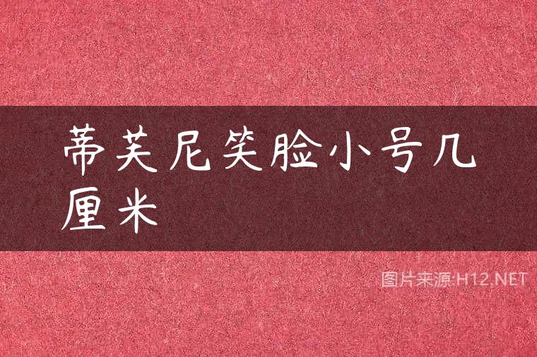 蒂芙尼笑脸小号几厘米