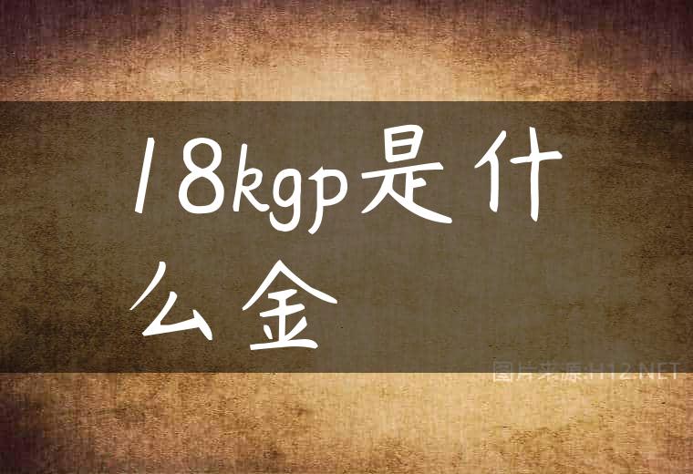 18kgp是什么金