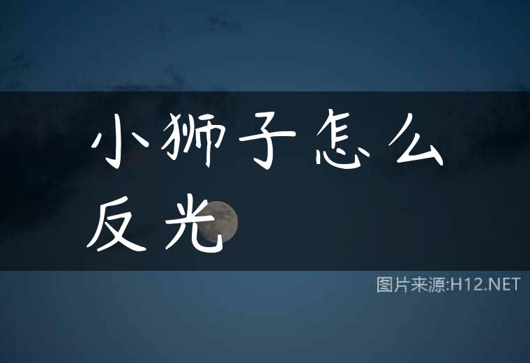 小狮子怎么反光