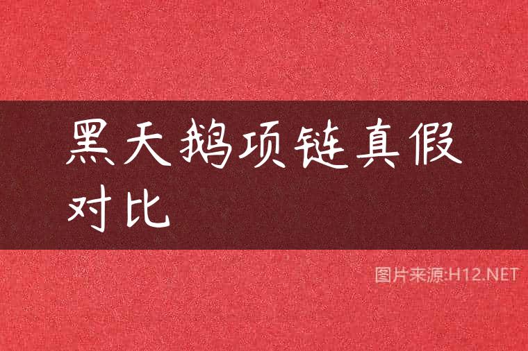 黑天鹅项链真假对比