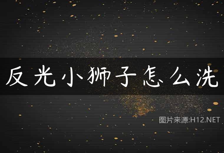 反光小狮子怎么洗