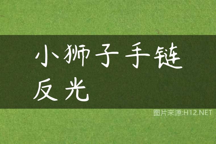 小狮子手链反光