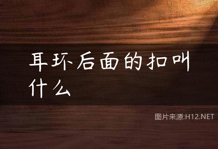 耳环后面的扣叫什么