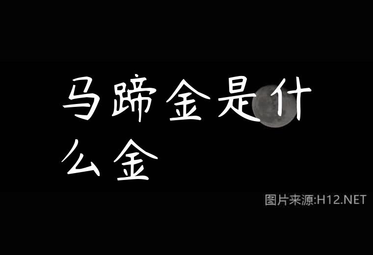 马蹄金是什么金