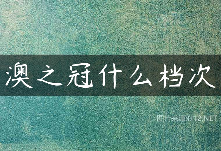 澳之冠什么档次